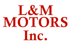 L and M Motors Inc